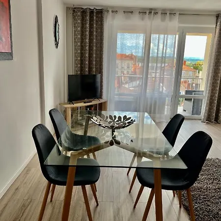 Apartment Roanne-centre *