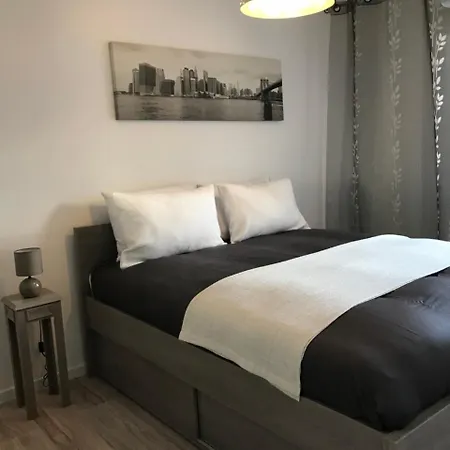 Apartment Roanne-centre
